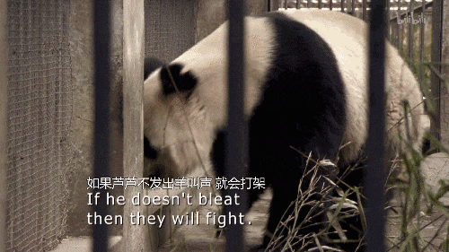 痛惜!官方证实已去世,参与过多部电影拍摄,被称"英雄父亲" 痛惜!官方证实已去世,参与过多部电影拍摄,被称"英雄父亲"