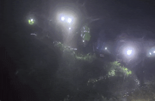 10天接连发生5起！杭州紧急提醒：“说走就走”要不得