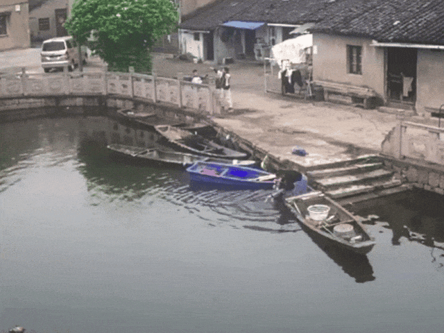 绍兴两位“小孩哥”，出名了！