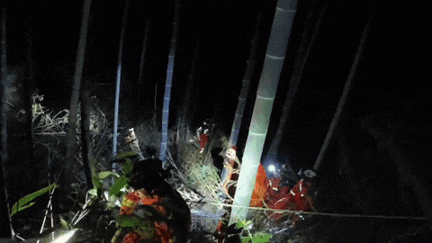 游客被困悬崖峭壁，居然有4名儿童……