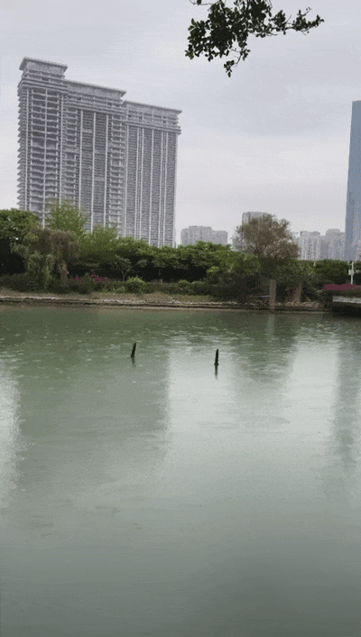 暴雨、冰雹、雷雨大风！福建连发112条预警！