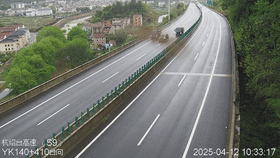 高速倒车为“救鸡”? 高速倒车为“救鸡”?