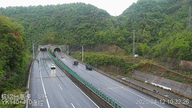 高速倒车为“救鸡”? 高速倒车为“救鸡”?