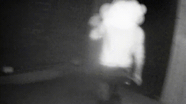 “这里有涉黄行为，你们快过来！”民警赶到一看，结局反转……