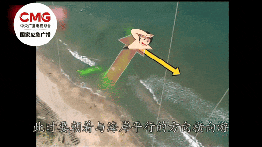 被卷入海，1死1失踪……海边看到它立即远离！