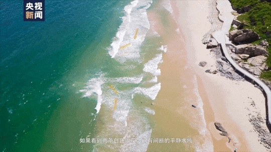 被卷入海，1死1失踪……海边看到它立即远离！