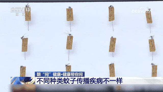 近期高发！见到它们一定要小心→