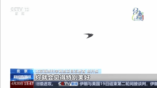 想知道北京雨燕的“安家指南”和“育儿宝典”吗?速来围观 想知道北京雨燕的“安家指南”和“育儿宝典”吗?速来围观