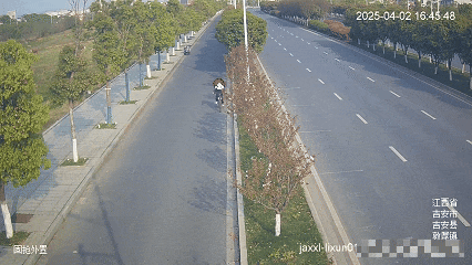 “报案人”成了“嫌疑人”？何某上演“自投罗网”式报警