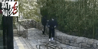 太猖狂！7名玩具大盗，被抓捕归案！