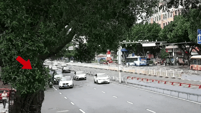 紧急提醒！福州已出现多起，遇到速报警！