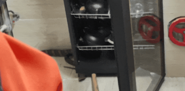 2米剧毒眼镜王蛇“住”民宿,还“爱”上了消毒柜? 2米剧毒眼镜王蛇“住”民宿,还“爱”上了消毒柜?