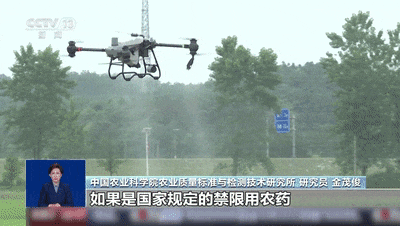 买菜用蓝光笔检测农残?不靠谱!荧光物质的多少其实与果蔬新鲜程度有关 买菜用蓝光笔检测农残?不靠谱!荧光物质的多少其实与果蔬新鲜程度有关