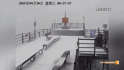 难得见的“一山两景” ！山顶雪花纷飞、山腰杜鹃盛开，五一去玩吗？