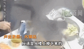 担忧!猫咪掉进露天火锅里,溅伤周围顾客!店家回应 担忧!猫咪掉进露天火锅里,溅伤周围顾客!店家回应