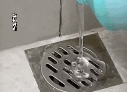 你家卫生间的这种“虫子”,千万不要用手拍 你家卫生间的这种“虫子”,千万不要用手拍