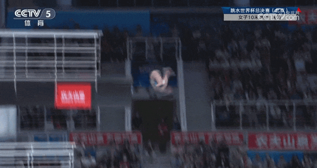 祝贺！陈芋汐、全红婵包揽冠亚军！