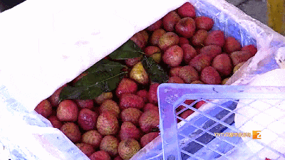 上市啦！这口香甜，很多云南人爱吃