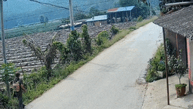 云南74岁爷爷徒步12公里，只为……