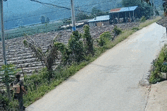 12公里山路，74岁老人走了4个小时，只为见到他……