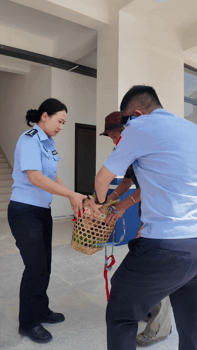 云南74岁爷爷徒步12公里，只为……