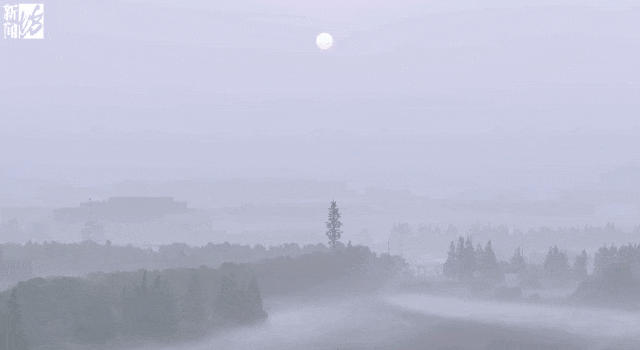 上海“下雪”了?有网友拍到了!今早这一幕惊艳 上海“下雪”了?有网友拍到了!今早这一幕惊艳