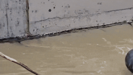 安外尔·吾吉，你纵身一跃的样子真帅！