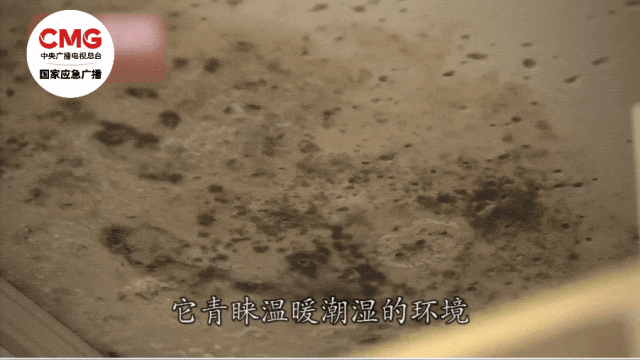 警惕！女子换季整理衣柜后肺部 “长霉”，这些藏在衣柜里的致命细节，你中招了吗？