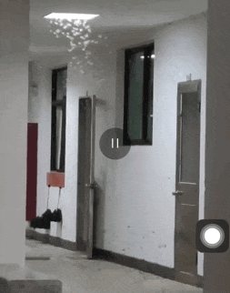 近期广东有大水蚁成群出现，专家提醒→