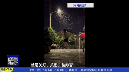 密密麻麻，广东大量出现！紧急提醒：关窗！关窗！！
