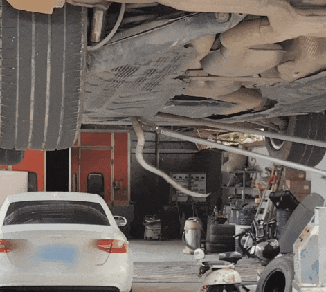 眼镜蛇溜进车底玩“潜伏”，消防员几招快速制服！