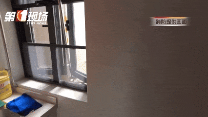 头皮发麻！深圳一居民家惊现白蛇