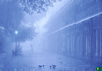 大雨、暴雨、大暴雨！马上杀到杭州！持续10天...