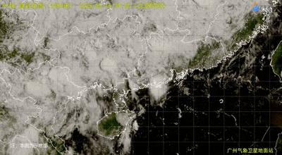 广东多地暴雨预警生效,今年预计台风情况→ 广东多地暴雨预警生效,今年预计台风情况→