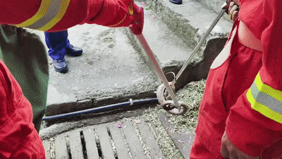 小心！近日，贵州多处有蛇出没→