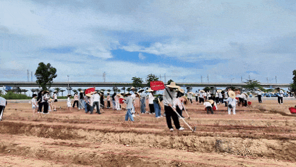 你怎么不看手机啊?“勿扰,在种地!” 你怎么不看手机啊?“勿扰,在种地!”