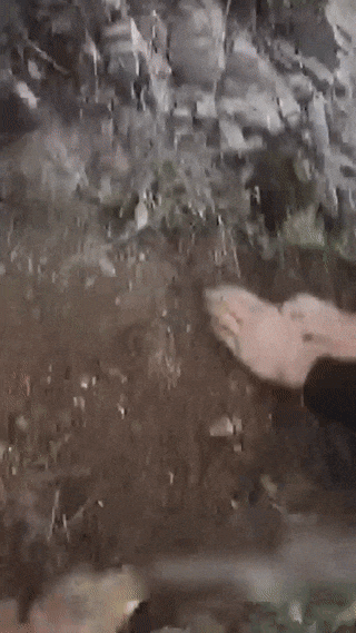 FJ0049、FJ0050,被点名! FJ0049、FJ0050,被点名!