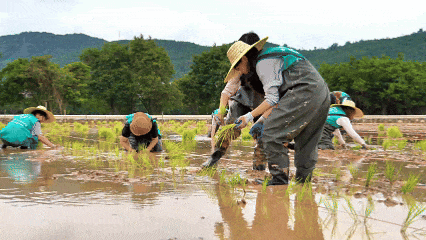 你怎么不看手机啊?“勿扰,在种地!” 你怎么不看手机啊?“勿扰,在种地!”