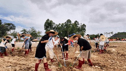 你怎么不看手机啊?“勿扰,在种地!” 你怎么不看手机啊?“勿扰,在种地!”