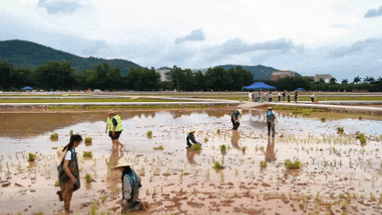 你怎么不看手机啊?“勿扰,在种地!” 你怎么不看手机啊?“勿扰,在种地!”