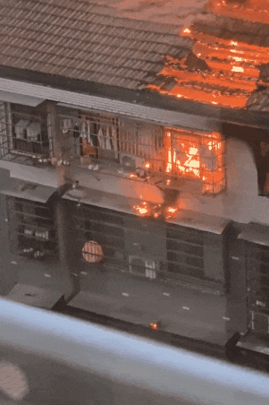 小猫动动嘴,救下铲屎官一命!“喵喵喵”的含金量还在上升… 小猫动动嘴,救下铲屎官一命!“喵喵喵”的含金量还在上升…