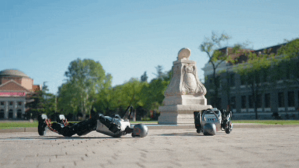 9:0!“清华火神队”夺冠了 9:0!“清华火神队”夺冠了