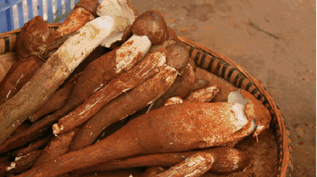 食菌季正式开启！云南网友纷纷晒出这样一条提示