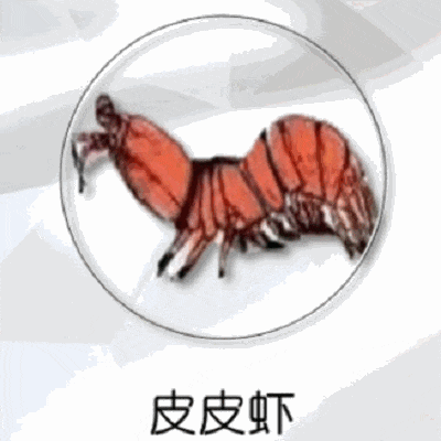 台风“杜苏芮”“苏拉”“海葵”被除名! 台风“杜苏芮”“苏拉”“海葵”被除名!