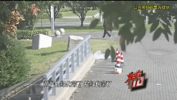 破案过程曲折!上海一小区接连遭入室盗窃,嫌疑人狡猾无比!监控曝光 破案过程曲折!上海一小区接连遭入室盗窃,嫌疑人狡猾无比!监控曝光