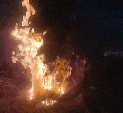 纵火取乐?小心玩火焚身! 纵火取乐?小心玩火焚身!