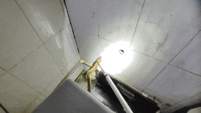 杭州男子发现洗衣机异响,打开被吓晕!没想到竟是…… 杭州男子发现洗衣机异响,打开被吓晕!没想到竟是……