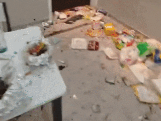 傻眼了!租客失联后留下满屋垃圾和一只兔子,管家收房惊呆:没有下脚的地方 傻眼了!租客失联后留下满屋垃圾和一只兔子,管家收房惊呆:没有下脚的地方