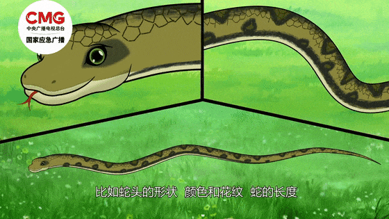 杭州男子发现洗衣机异响，打开被吓晕！神秘生物暗藏，诡异花纹汗毛直立