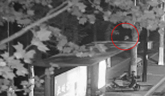 警惕！看到这种“人脸”，请立即报警→